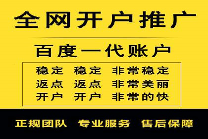 百度推广与SEO结合案例：提升网站排名的技巧